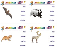 Holzcomputer-animals 16.pdf